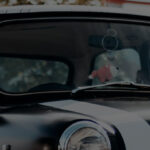 Conoce cuáles son los autos icónicos que la historia del automovilismo ha tenido.