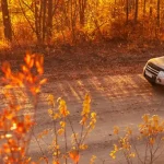 Seguro de auto para viajar a Canadá